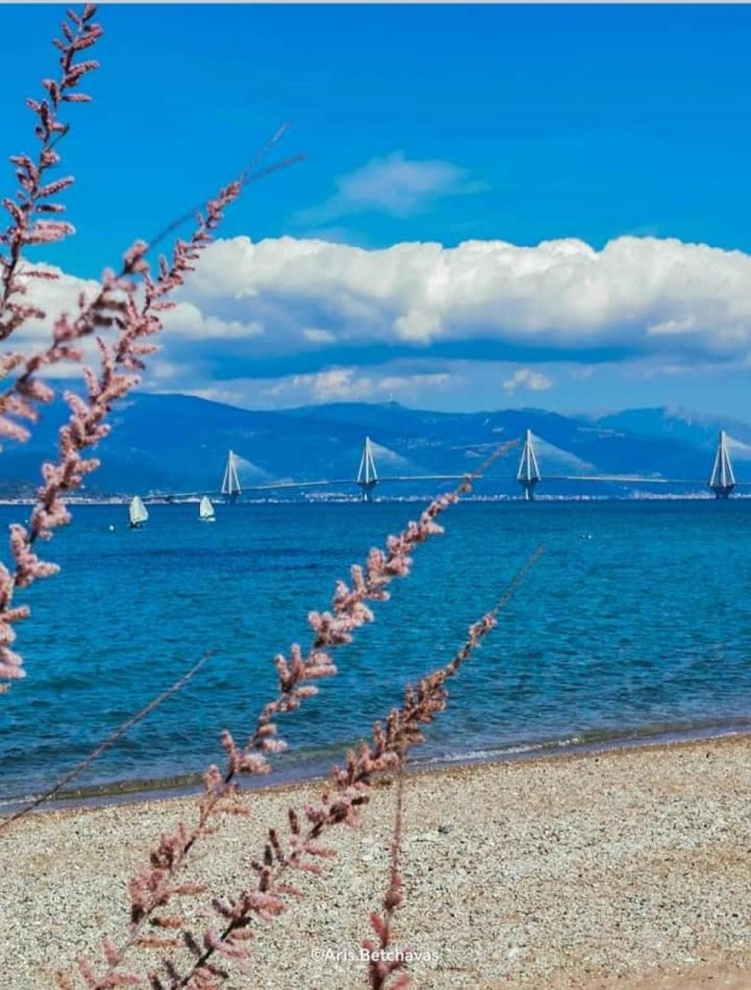 Mare - Mare B Ξενοδοχείο Πάτρα Εξωτερικό φωτογραφία